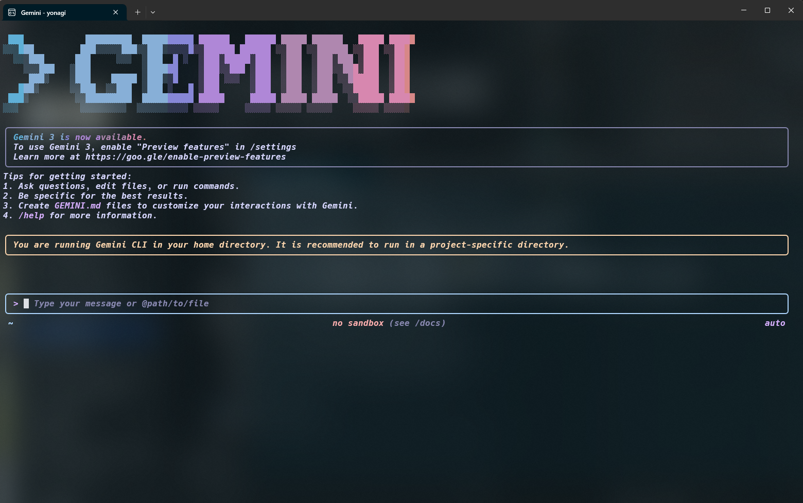 Gemini CLI 运行在终端中的截图